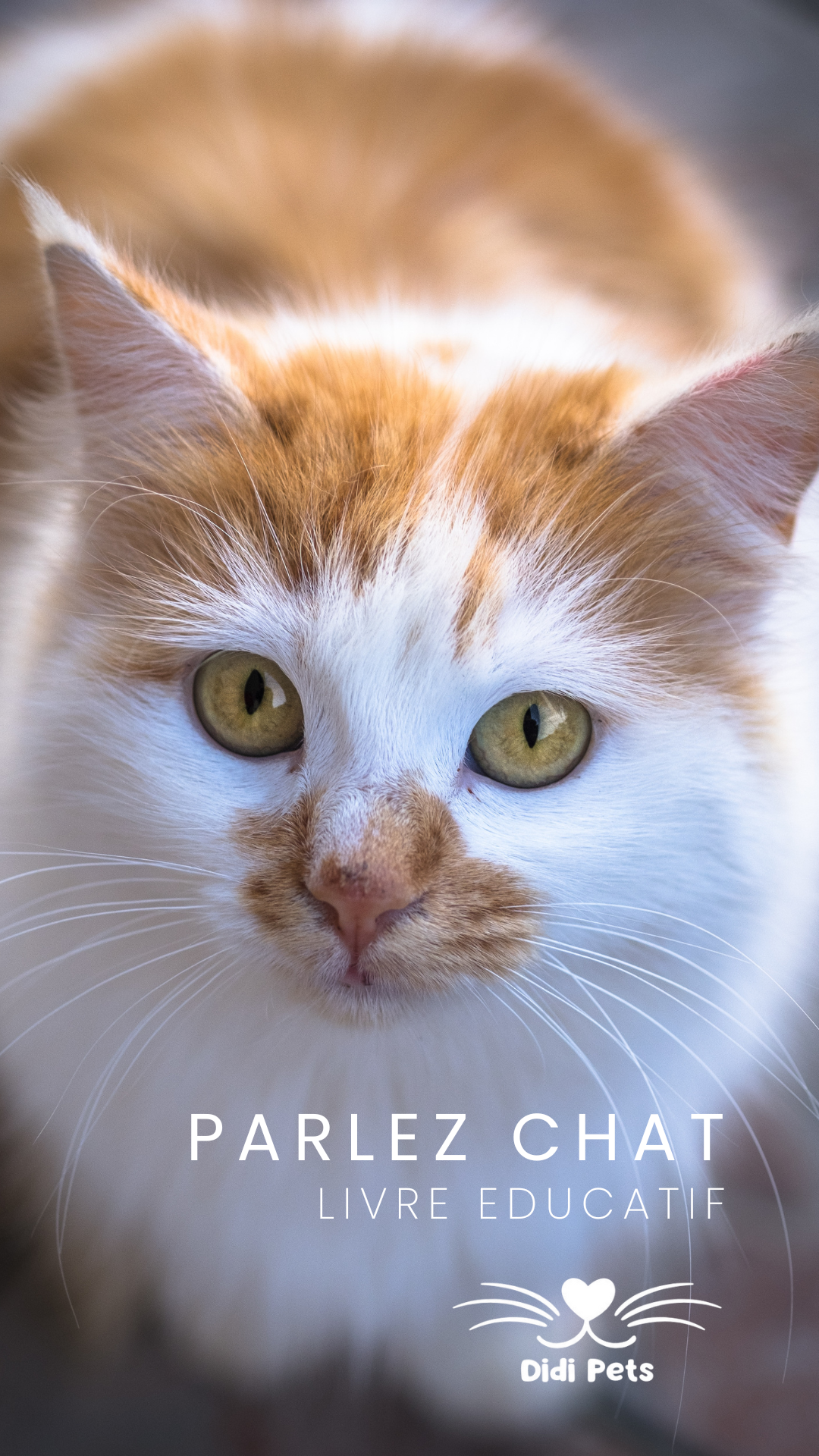 Ebook (Livre Numérique) - Parlez Chat : Apprenez à comprendre votre chat